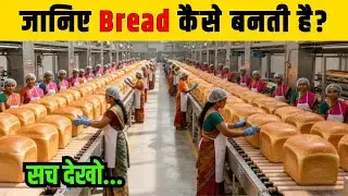 जानिए ब्रेड कैसे बनती है ? | What’s REALLY in Your Daily Bread? Factory Reveal!
