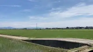 Niigata Rice Field  (Producer of Best Rice in Japan)