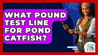 What Pound Test Line For Pond Catfish? - Chasing Big Fish