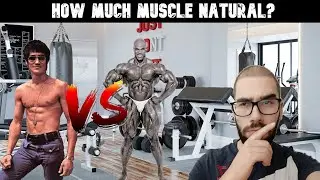 How much muscle can you build naturally every year (natty muscle gain expectations)