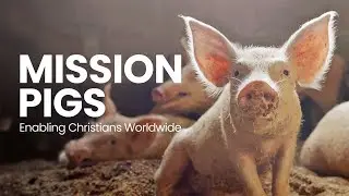 Empowering Christian Missionaries Through Livestock-Based Livelihoods