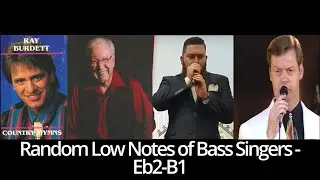 Random Low Notes of Bass Singers - Eb2-B1 compilation