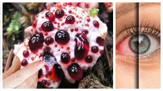 Dangerous Plants - When you see them, you won't want to touch it ☠️
