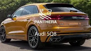 Panthera Exhaust Sound Booster Audi SQ8