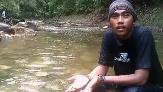rumah pohon (save mata air Batam )