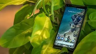 Google Pixel 2 XL Preview with Camera Samples