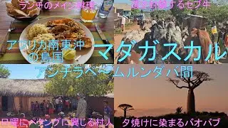 アフリカ南東沖の島国で固有種の宝庫マダガスカル。マダガスカル第３の都市アンチラベからバオバブ並木で有名なムルンダバへ車で長距離移動しました（2025年5月18日～19日）