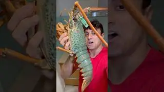 Приготовление ОГРОМНОГО зеленого лобстера
