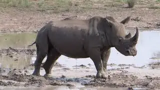 C'est extra - Metsi Lodge : South African tourism
