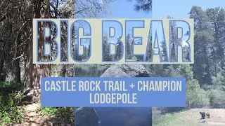 Castle Rock Trail & Champion Lodgepole | Big Bear Mountain in California | Nomadic Weekenders Vlog