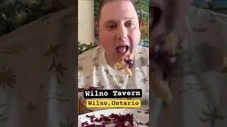 ТАВЕРНА ВИЛЬНО - Вильно, Онтарио #ontarioeats #renfrewcounty #schnitzel #polish #history #toronto...