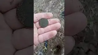 live dig of a king George the second colonial copper!!