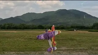 Midair Collision???    Hover Fight - RC Factory Edge V3 VS Skywing LASER 260 48