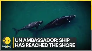 Historic marine biodiversity pact signed to preserve and reverse biome losses | Latest News | WION