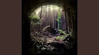 Hidden Worlds