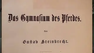 Trailer Steinbrecht