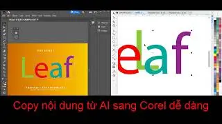 Plugin All in one for corelDRAW 2022