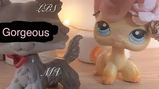 LPS Gorgeous MV
