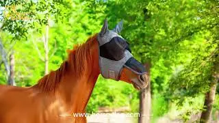 High-quality, comfortable and durable horse fly mask