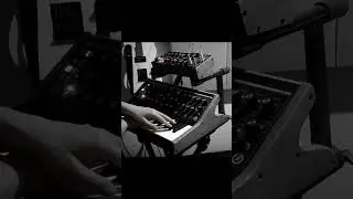 Moog Subsequent 25, Subharmonicon