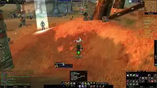 Turtle Wow hardcore duo leveling from 15-17 level