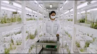 Colombia Seeds for the Future:  &lsquo;Sustainable in Latin America &ndash; Global Action Initiative.&rsquo;