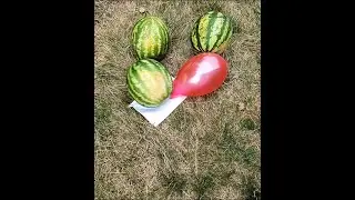 Experiment Balloon Burst #shorts