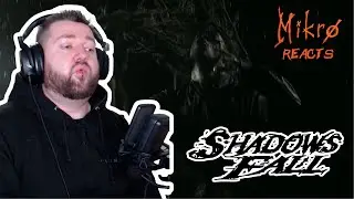 Shadows Fall - In The Grey // Reaction/Review