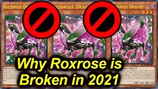 【YGOPRO】WHY ROXROSE IS BROKEN IN 2021