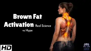 Brown Fat Activation : Real Science vs Hpye