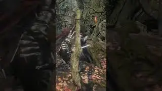 Папич всегда прав!! #flerks #adukla #darksouls #darksouls3 #coopgaming #папич #папичмемы #мемы #угар
