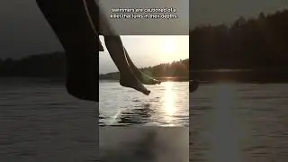 The Oklahoma Lake Monster