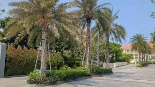 The Sheraton Grand Danang Resort in Da Nang, Vietnam (2024)