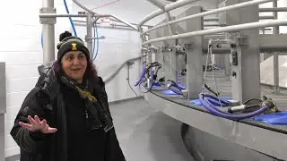 Inside Idaho's AI-powered research dairy revolutionizing agriculture