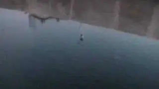 Norwegian Scream of death