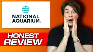 National Aquarium Tickets Review: Honest User Experience & How to Save on Your Next Visit