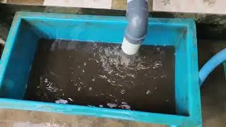 Test drive Rotary Drum Filter kolam koi full fitur