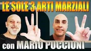 La Teoria delle 3 Arti Tradizionali. Con Mario Puccioni