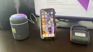 Bluetooth Print Demo With FanBudget POS App - Apple iPhone