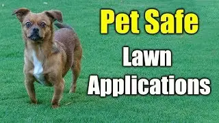 Pet Safe Lawn Product Application