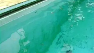 Junior Machado - Personal Trainer - Apn&eacute;ia - Treinamento Fundamentado em Cen&aacute;rio.