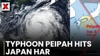Headlines This Hour | Japan's Typhoon Peipah| UK Government Reshuffle| Israel Hamas War| NewsX World