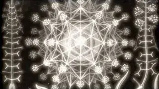 Anahedron - Radiolarian