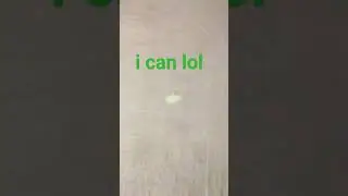 #brooarmy #duet #memes #guys #brotime #bruhhh