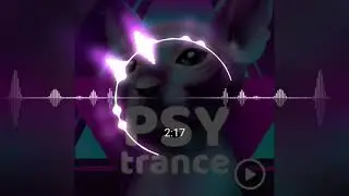 PSY Trance//Electronic//Groovy Loops