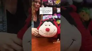 Check out the FIRST Ladybug Pillow Pet we ever made! 🐞🤩