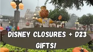 🌪️ Hurricane Helene's Impact on Disney World + D23 Club Surprises! 🎁