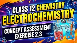Class 12 Chemistry | Chapter 2 Electrochemistry | Concept Assessment Exercise 2.3 | FBISE 2025