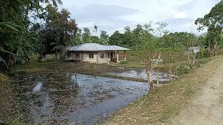Enjoy living in Province #simpleLife #shortviral #Bohol
