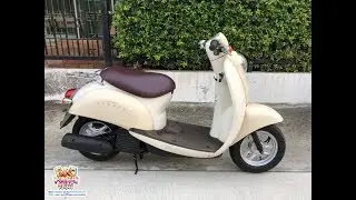 Bigsooter shop : Honda scoopy 50cc.